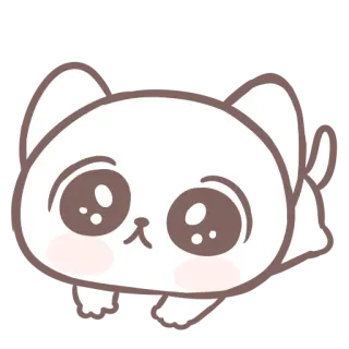 🥺 gato, fofo, gatinho, animal, adesivo, desenho animado telegram sticker
