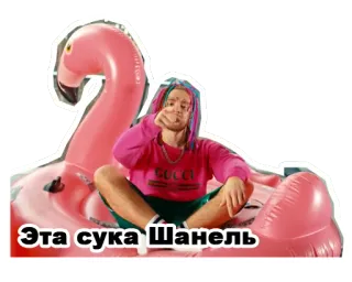 👩 Эта сука Шанель personne, flamant rose, lunettes de soleil, Chanel telegram sticker