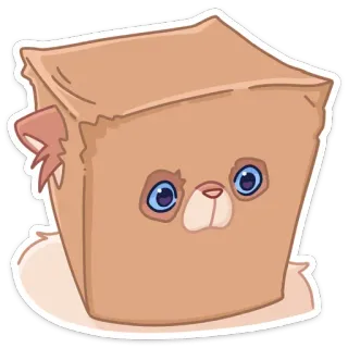 🤔 animal, urso, desenho animado, adesivo, fofo, caixa, personagem telegram sticker