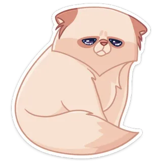 😭 gato, gato persa, triste, fofo, animal, adesivo telegram sticker