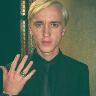 💍 Draco Malfoy Harry Potter Tom Felton, Draco Malfoy, Harry Potter, Ator, Celebridade telegram sticker