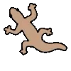 🦎
