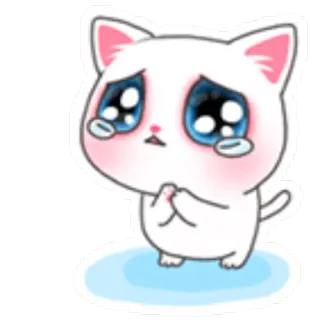 😞 chat, triste, pleurs, mignon, kawaii, suppliant telegram sticker