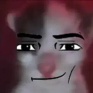 😀 gatto, meme, divertente, espressione, altezzoso telegram sticker