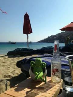 🐸 SOL spiaggia, relax, sole, birra, alcol, estate, viaggio, vacanza telegram sticker