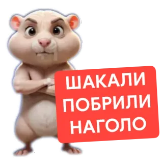 🧸 ШАКАЛИ ПОБРИЛИ НАГОЛО telegram sticker