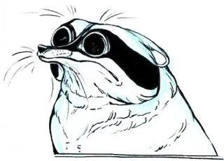 😦 raccoon, animal, meme, funny, cartoon, sketch telegram sticker