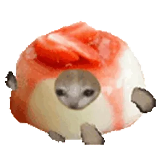 🐈 кот, десерт, клубника, грустный, животное, каваий, мем telegram sticker