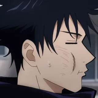 🐺 Megumi Fushiguro Jujutsu Kaisen Anime, Manga, Megumi Fushiguro, Jujutsu Kaisen, Charakter, Animation whatsapp sticker