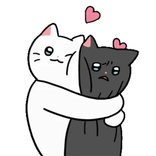 ❤️ chat, câlin, amour, mignon, animal, autocollant telegram sticker