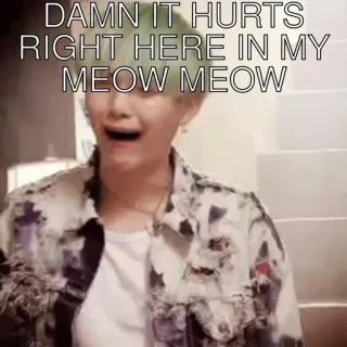 🙂 Suga DAMN IT HURTS RIGHT HERE IN MY MEOW MEOW kpop, bangtan, bts, gatto, meme whatsapp sticker