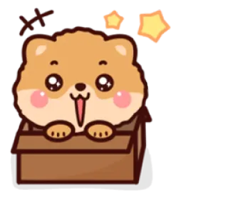 🤩 chomik, słodki, zwierzę, kawaii, pudełko, gwiazdy telegram sticker