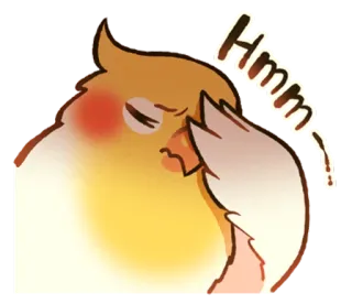 😟 Hmm oiseau, hmm, réflexion, mignon, animal, cockatiel whatsapp sticker