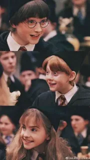😌 Harry Potter Harry Potter, Ron Weasley, Hermione Granger, escola, magia, feitiçaria telegram sticker