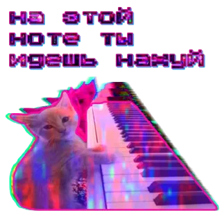 🎹 Не в этой ноте ты идешь нахуй cat, piano, keyboard, music, funny, meme telegram sticker