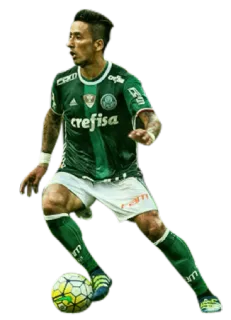 👤 calcio, calcio, atleta, giocatore, sport, verde, Palmeiras, sport telegram sticker