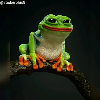 🐸 @stickerplus9 rã, animal, réptil, anfíbio, verde, natureza whatsapp sticker