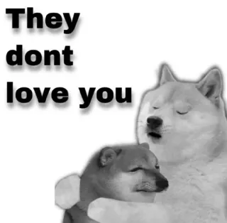😂 They dont love you doge, meme, perro, triste, amor, shiba inu telegram sticker