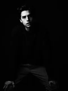 🖇 Cole Sprouse attore, ritratto, bianco e nero, celebrità telegram sticker