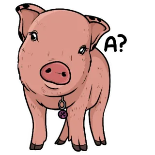 🧐 A? maiale, animale, carino, cartone animato, sticker whatsapp sticker
