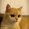 🧐