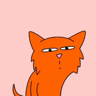✨ cat, animal, sticker, cartoon, orange cat whatsapp sticker
