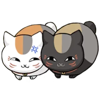 🌚 猫, 怒り, かわいい, ステッカー, 動物 telegram sticker