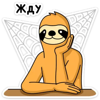 🕐 Жду bicho-preguiça, esperando, fofo, animal, teia de aranha whatsapp sticker