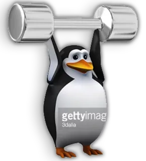🏋 penguin, fitness, weightlifting, exercise, animal telegram sticker