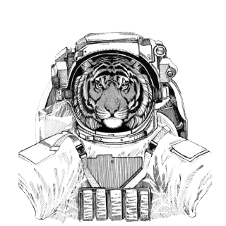 🌌 tigre, astronauta, spazio, animale, illustrazione, tuta spaziale telegram sticker