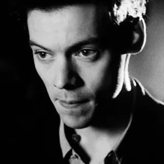 🎵 Harry Styles celebrity, singer, actor, man, portrait telegram sticker