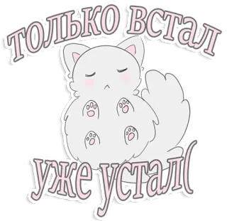 🙄 ТОЛЬКО ВСТАЛ
УЖЕ УСТАЛ kot, słodki, śpiący, zmęczony, kreskówka, zwierzę telegram sticker