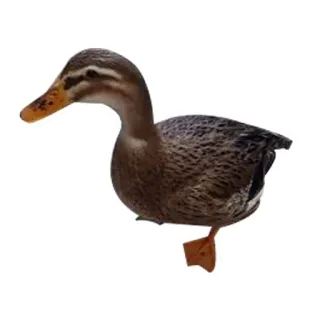 🦆 утка, птица, животное, водоплавающая птица, природа telegram sticker