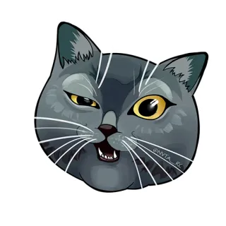 🐱 chat, animal, animal de compagnie, mignon, portrait telegram sticker