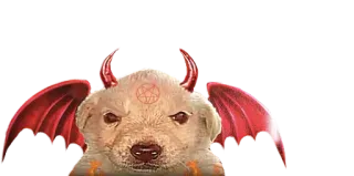 😈 dog, devil, horns, demon, pentagram, puppy, fantasy telegram sticker