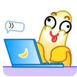 👨💻