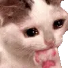 🥺