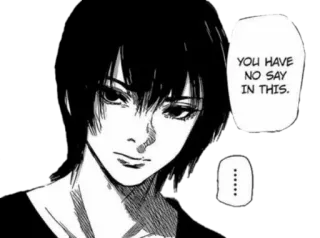🖤 YOU HAVE NO SAY IN THIS Anime, Mangá, Sério, Presunçoso, Expressão telegram sticker