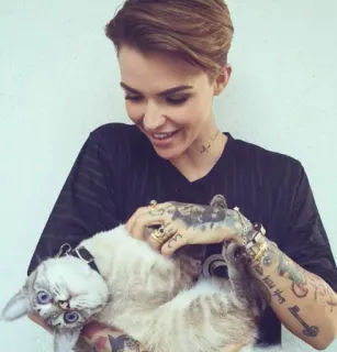 😺 Ruby Rose Ruby Rose, gato, mascota, celebridad, actor whatsapp sticker
