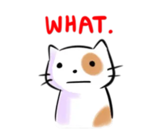 😐 WHAT. chat, confus, autocollant, mème, drôle, question telegram sticker