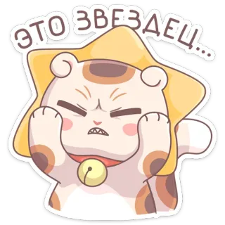 😠 ЭТО ЗВЕЗДЕЦ... кот, наклейка, мультфильм, злой, смешной, обидный, мат whatsapp sticker