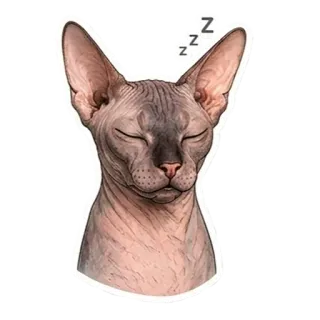 🥱 zzz telegram sticker