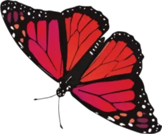 🎀 vlinder, insect, natuur, rood, oranje telegram sticker