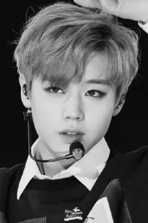 🎶 whatsapp sticker
