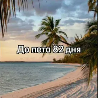 ☀️ До лета 82 дня verano, playa, vacaciones, cuenta atrás, tropical telegram sticker