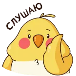 😑 OMG uccello, carino, calopsitta, emoji, omg whatsapp sticker