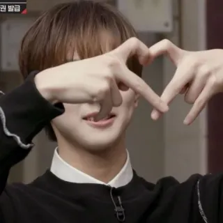❤️ heart sign, finger heart, k-pop, asian, love, affection telegram sticker