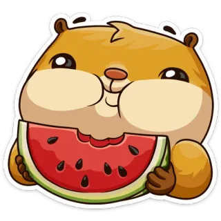 🍉 hamster, melancia, fofo, animal, comida, lanche, roedor, kawaii whatsapp sticker