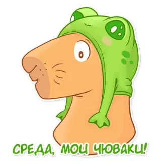 Капи Барри @MasterLamaArt telegram stickers