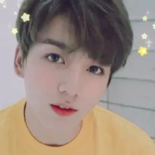 🌺 Jungkook K-pop, Cantor, Masculino, Idol, Artista, Jungkook telegram sticker
